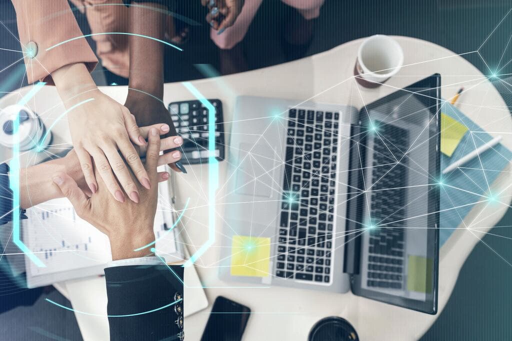 Ecossistema empresarial: etapas, vantagens e como construir